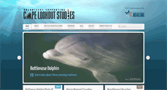 Desktop Screenshot of capelookoutstudies.org